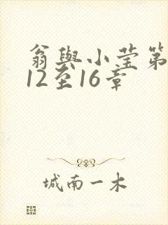 翁与小莹第十部12至16章