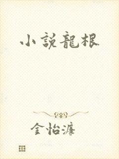 小说龙根