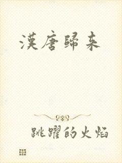 汉唐归来