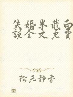 失婚半截白菜小说全文免费阅读封面