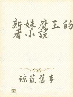 新妹魔王的契约者小说封面
