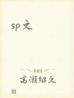 sp文封面