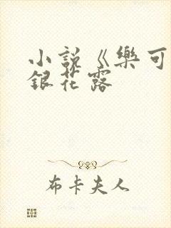 小说《乐可》金银花露封面