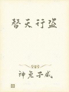 替天行盗