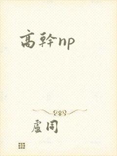 高干np