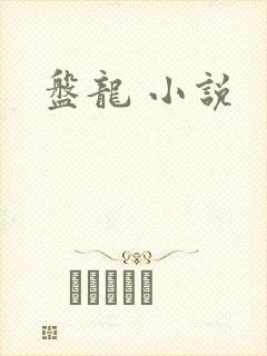 盘龙 小说