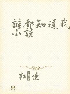 谁都知道我爱你小说