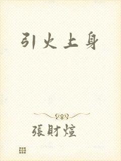 引火上身封面