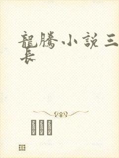 龙腾小说三宝局长
