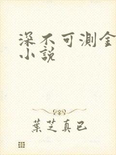 深不可测金银花小说