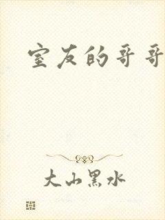 室友的哥哥