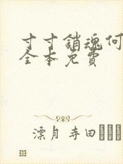 寸寸销魂何生祥全本免费