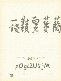 一对白花花的大馒头免费阅读