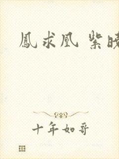 凤求凰 紫晓封面