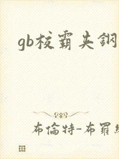 gb校霸夹钢笔封面