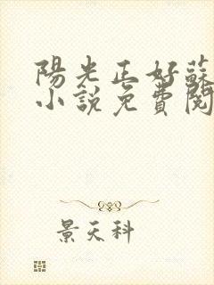 阳光正好苏玥玥小说免费阅读