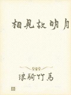 相见故明月