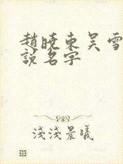 赵晓东吴雪晴小说名字封面