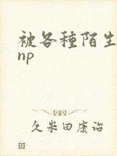 被各种陌生人 np