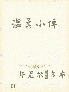 温柔小传