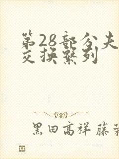 第28部分夫妇交换系列