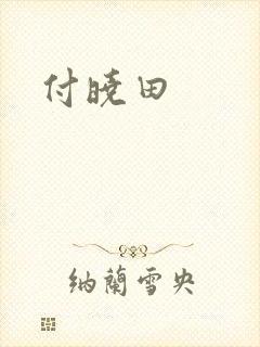 付晓田封面