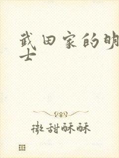 武田家的明国武士
