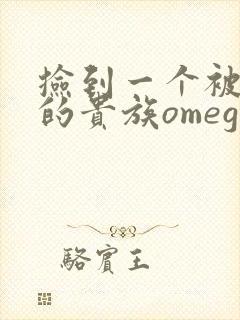 捡到一个被抹布的贵族omega