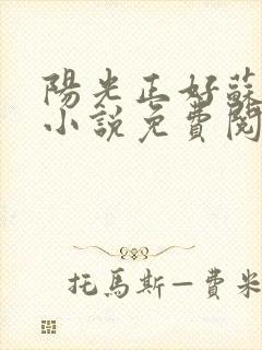 阳光正好苏玥玥小说免费阅读无弹窗