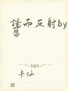 镜面反射by九葛