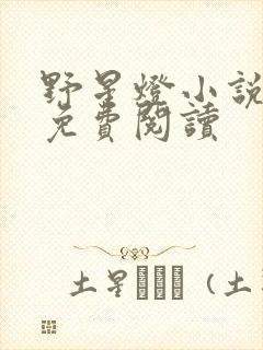 野星灯小说全文免费阅读封面