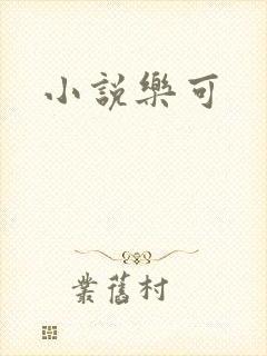 小说乐可封面