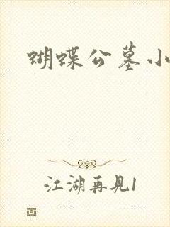 蝴蝶公墓小说