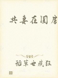 共妻在圆房3p封面