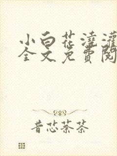小白花浇灌日常全文免费阅读
