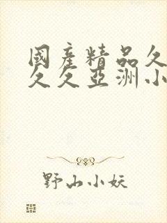 国产精品久久久久久亚洲小说封面