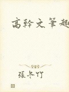 高干文笔趣阁封面