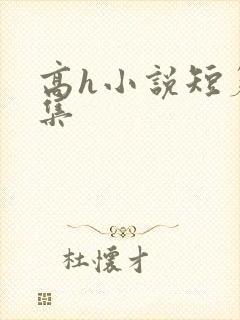 高h小说短篇合集