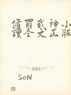 修罗武神小说阅读全文正版封面