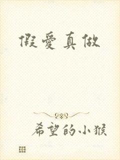 假爱真做
