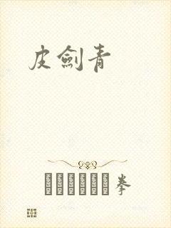 皮剑青