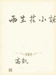 两生花小说封面