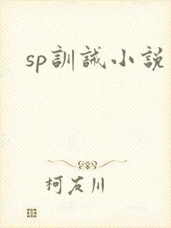 sp训诫小说