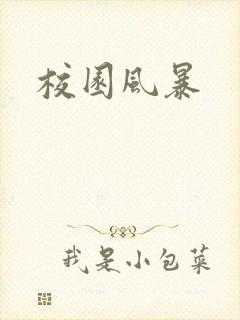 校园风暴封面