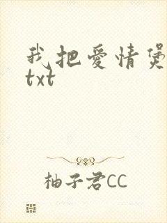 我把爱情煲成汤txt封面