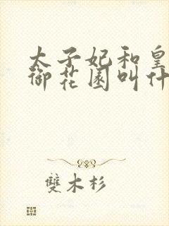 太子妃和皇帝在御花园叫什么小说