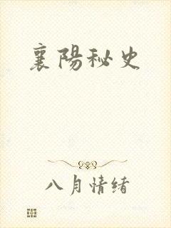 襄阳秘史