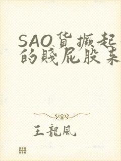 SAO货撅起你的贱屁股来