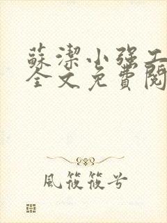 苏洁小强工地情全文免费阅读