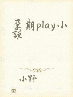 孕期play小说封面